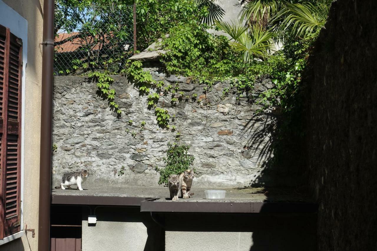 House Of Cats Appartement Domaso Buitenkant foto